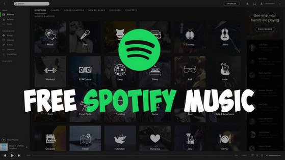 Download Musics From Spotify